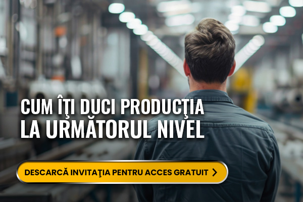 Nl10. Cum îţi duci producţia la următorul nivel