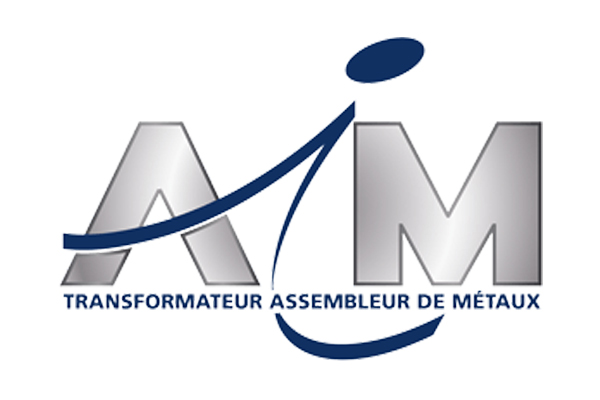 TDM TRANSFORMATION DECOUPAGE DE METAUX SRL